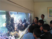 nauticaz-marine-discovery-center
